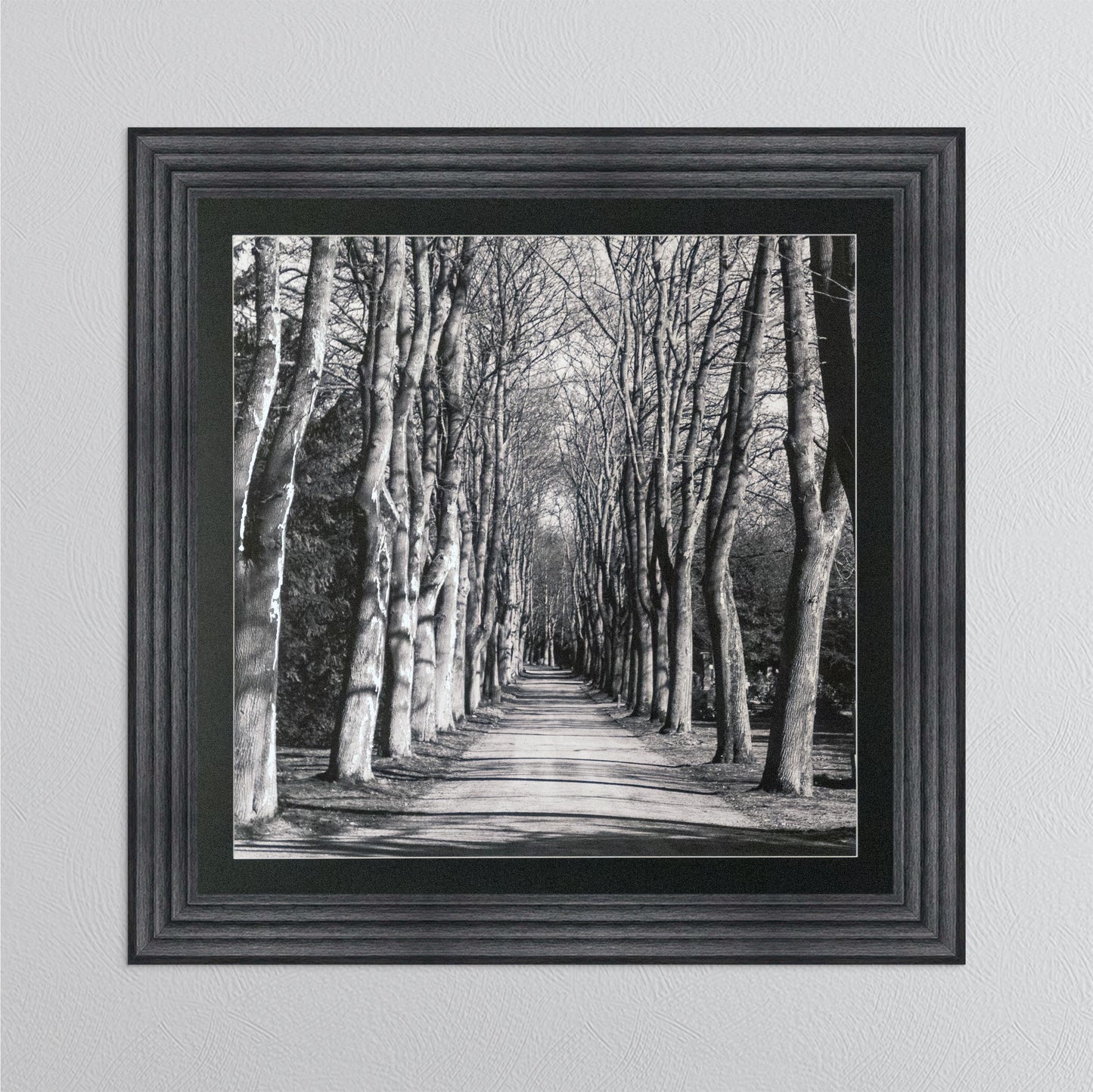 Mono Path with Silver Foil Embellishment - with Black Mount Framed Wall Art