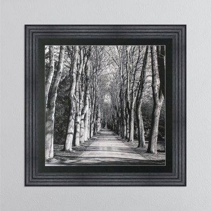 Mono Path with Silver Foil Embellishment - with Black Mount Framed Wall Art