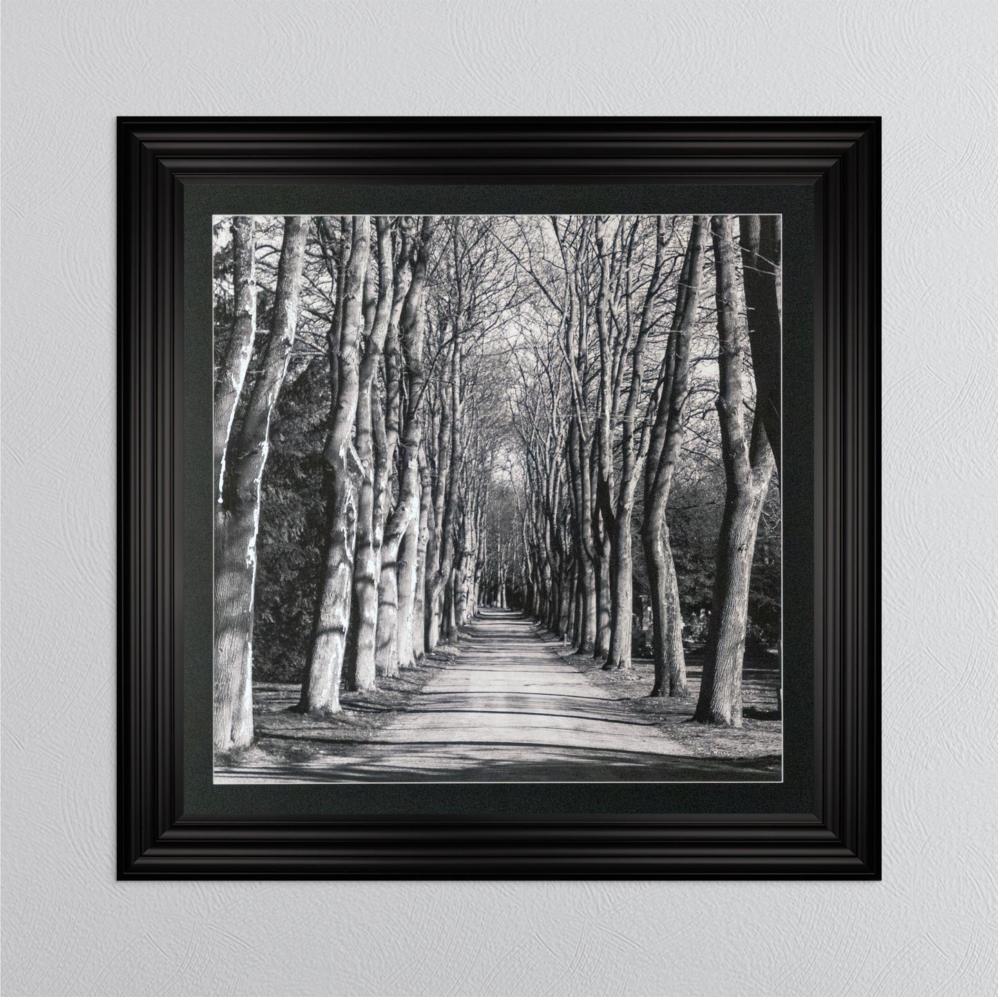Mono Path with Silver Foil Embellishment - with Black Mount Framed Wall Art