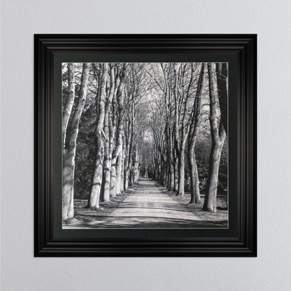 Mono Path with Silver Foil Embellishment - with Black Mount Framed Wall Art