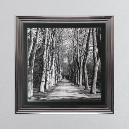Mono Path with Silver Foil Embellishment - with Black Mount Framed Wall Art
