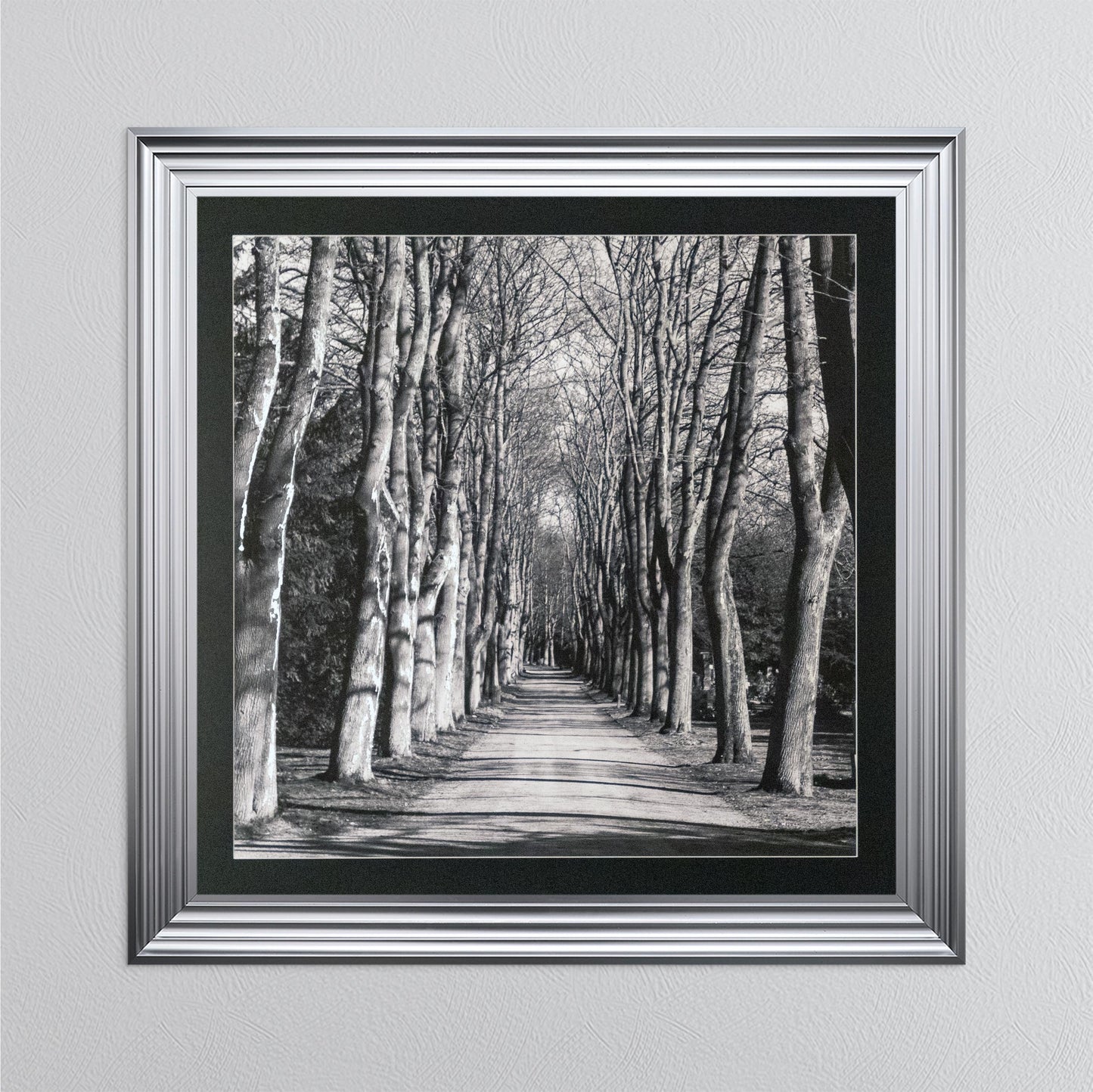 Mono Path with Silver Foil Embellishment - with Black Mount Framed Wall Art