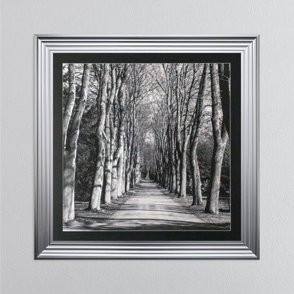 Mono Path with Silver Foil Embellishment - with Black Mount Framed Wall Art