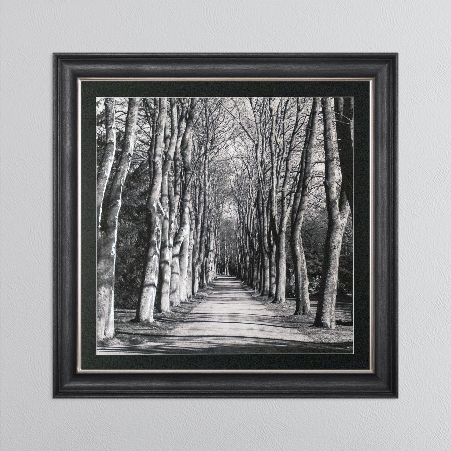 Mono Path with Silver Foil Embellishment - with Black Mount Framed Wall Art