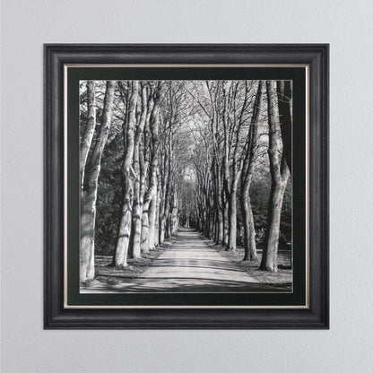 Mono Path with Silver Foil Embellishment - with Black Mount Framed Wall Art