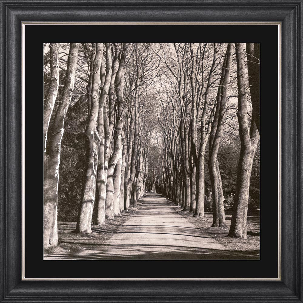 Mono Path with Silver Foil Embellishment - with Black Mount Framed Wall Art