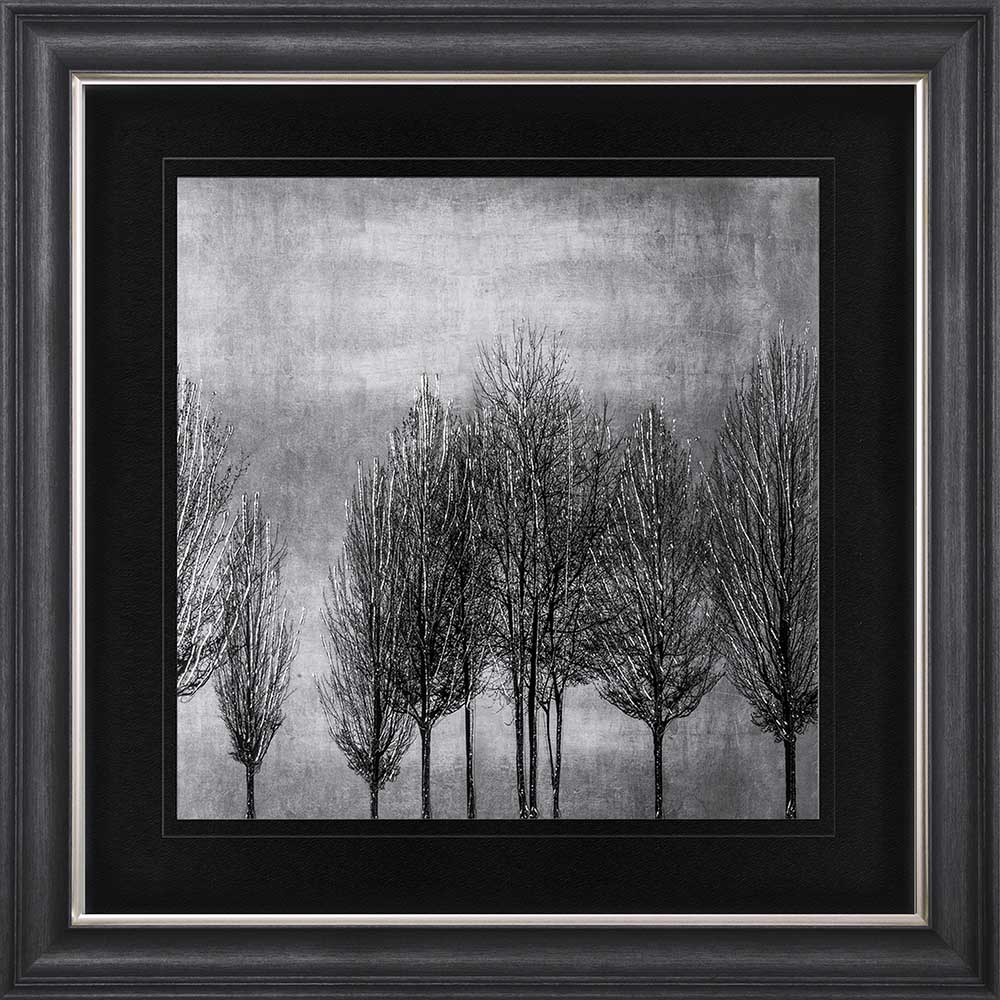 Trees On Silver 2 with Black Mount Framed Wall Art
