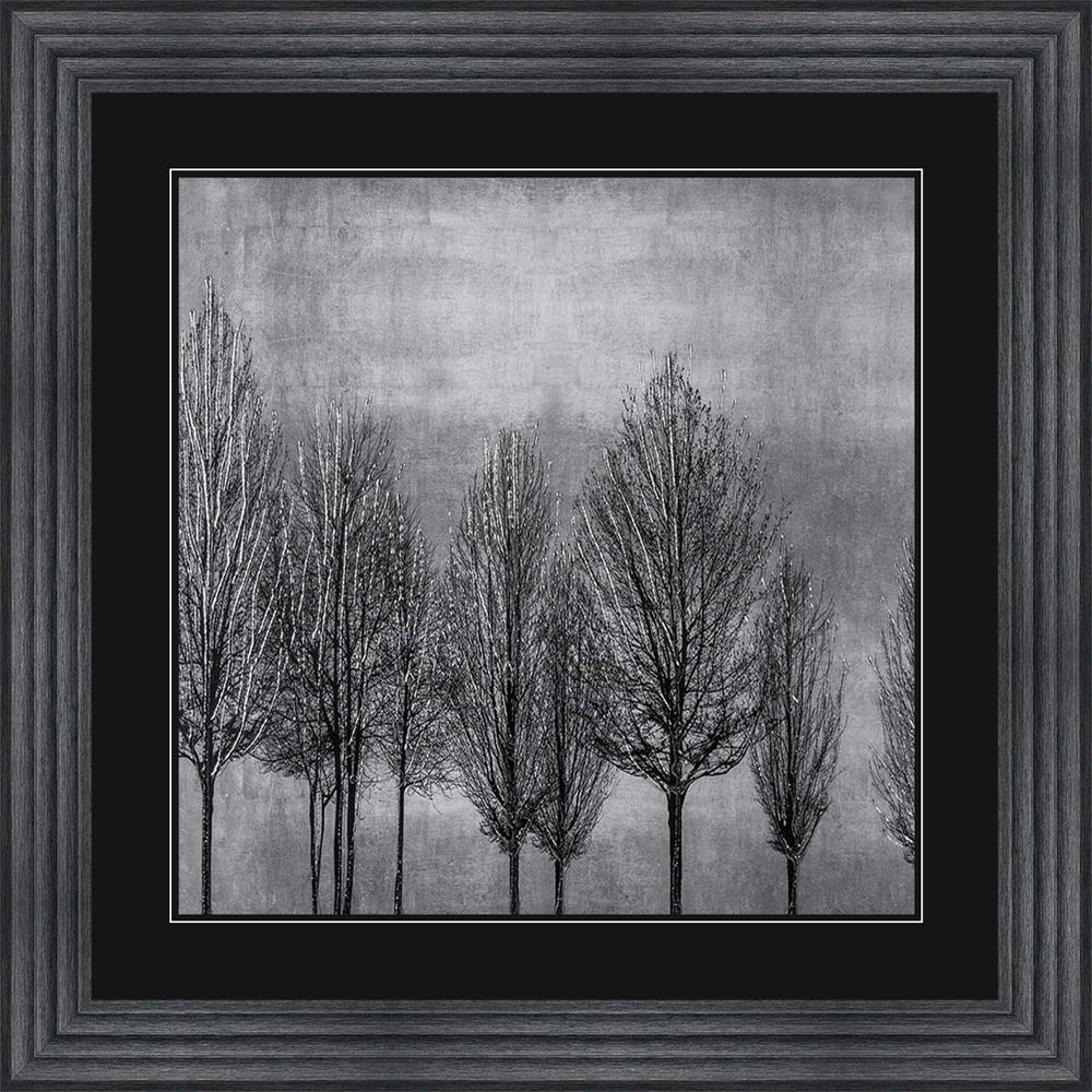 Trees On Silver 1 with Black Mount Framed Wall Art