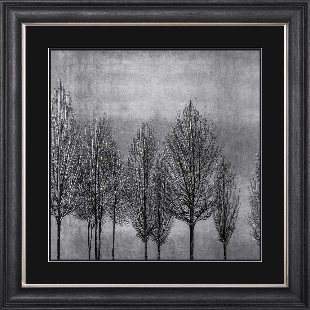 Trees On Silver 1 with Black Mount Framed Wall Art