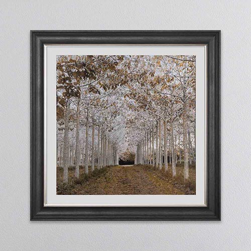 White Gold Framed Wall Art