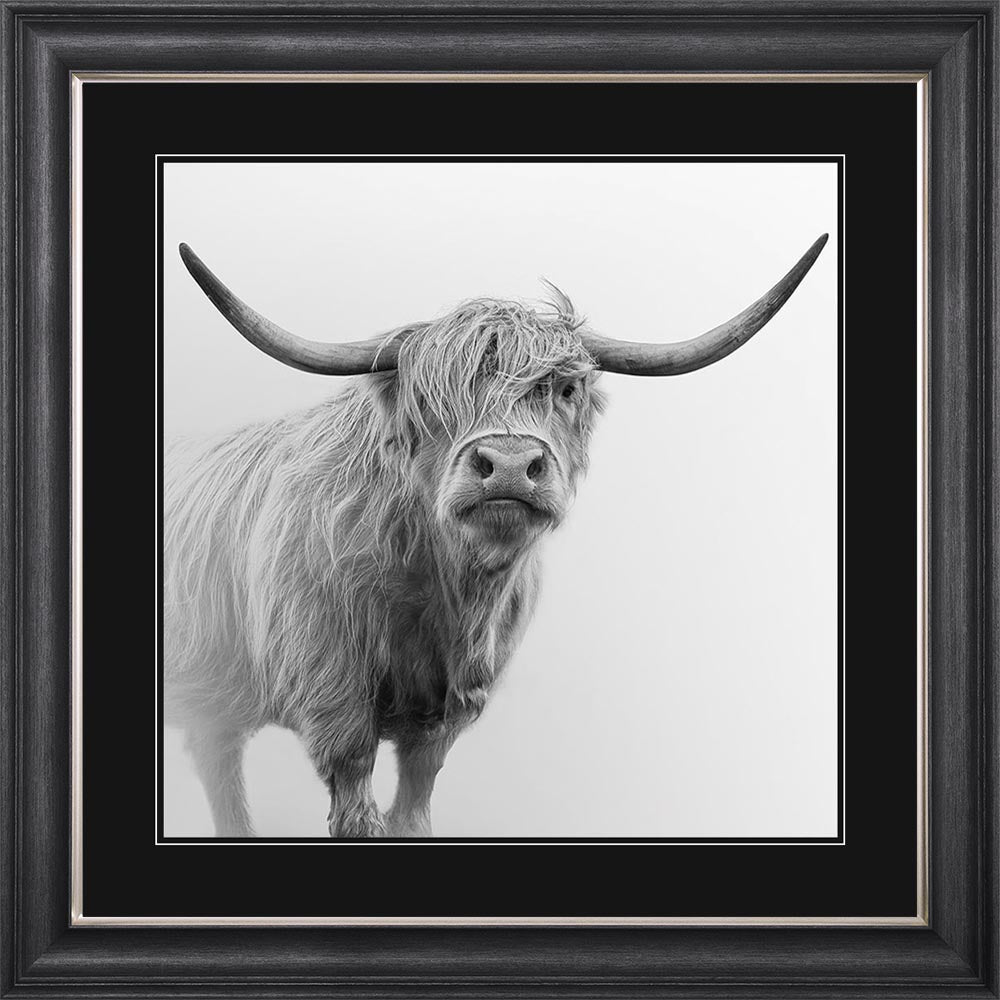 Grey And White Highland Cow with Black Mount Framed Wall Art