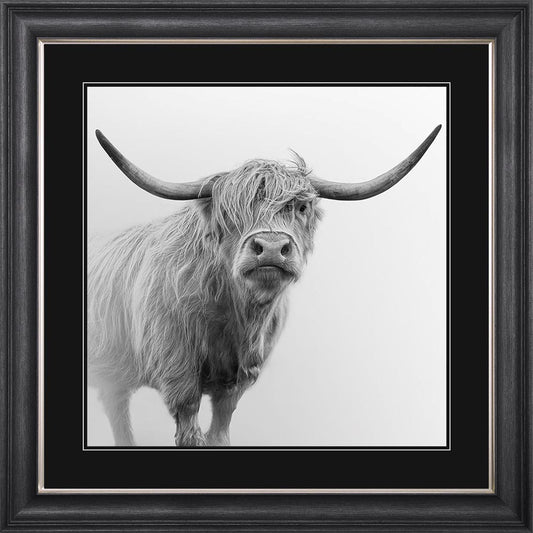 Grey And White Highland Cow with Black Mount Framed Wall Art