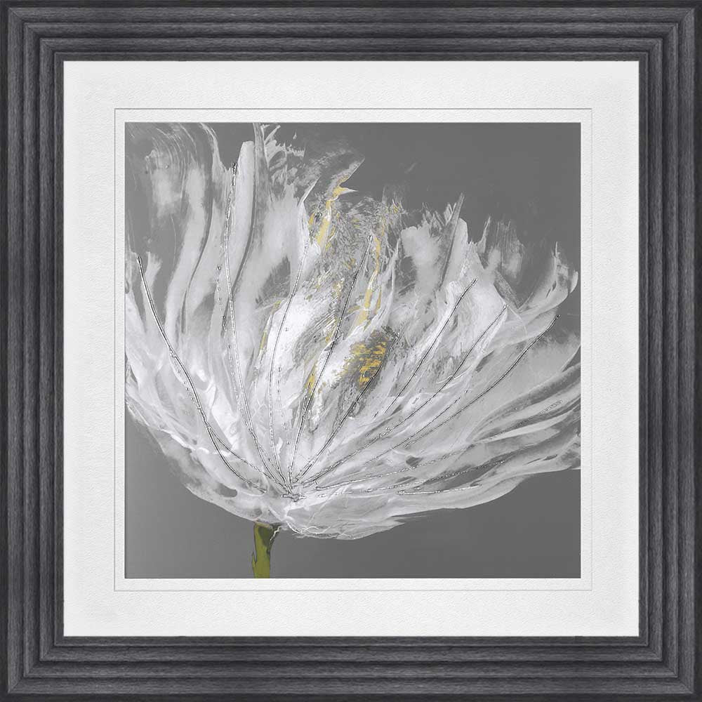 Single White Tulip with White Mount Framed Wall Art