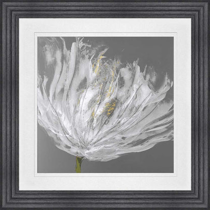 Single White Tulip with White Mount Framed Wall Art