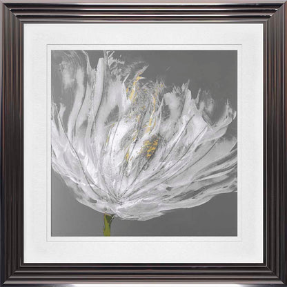 Single White Tulip with White Mount Framed Wall Art