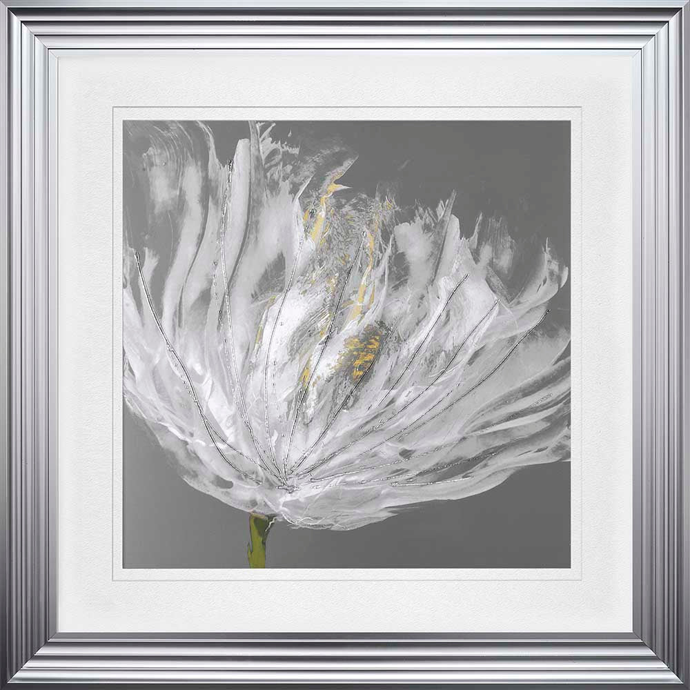 Single White Tulip with White Mount Framed Wall Art