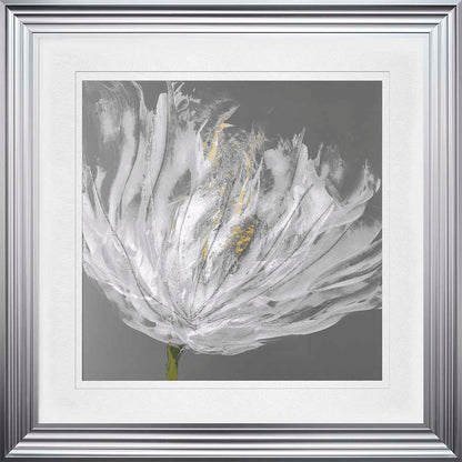 Single White Tulip with White Mount Framed Wall Art