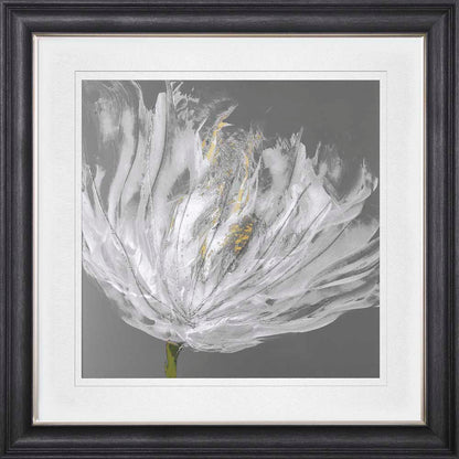 Single White Tulip with White Mount Framed Wall Art