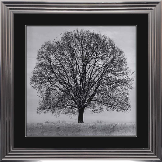 Winter Tree with Black Mount Framed Wall Art