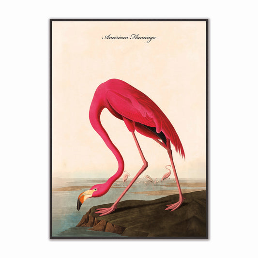American Flamingo Velvet Canvas