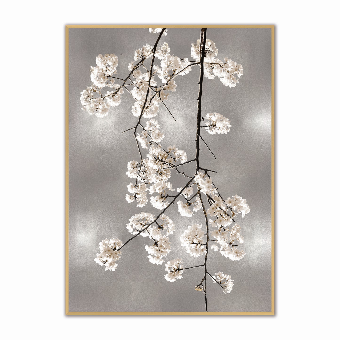 White Blossom on Silver 1 Velvet Canvas