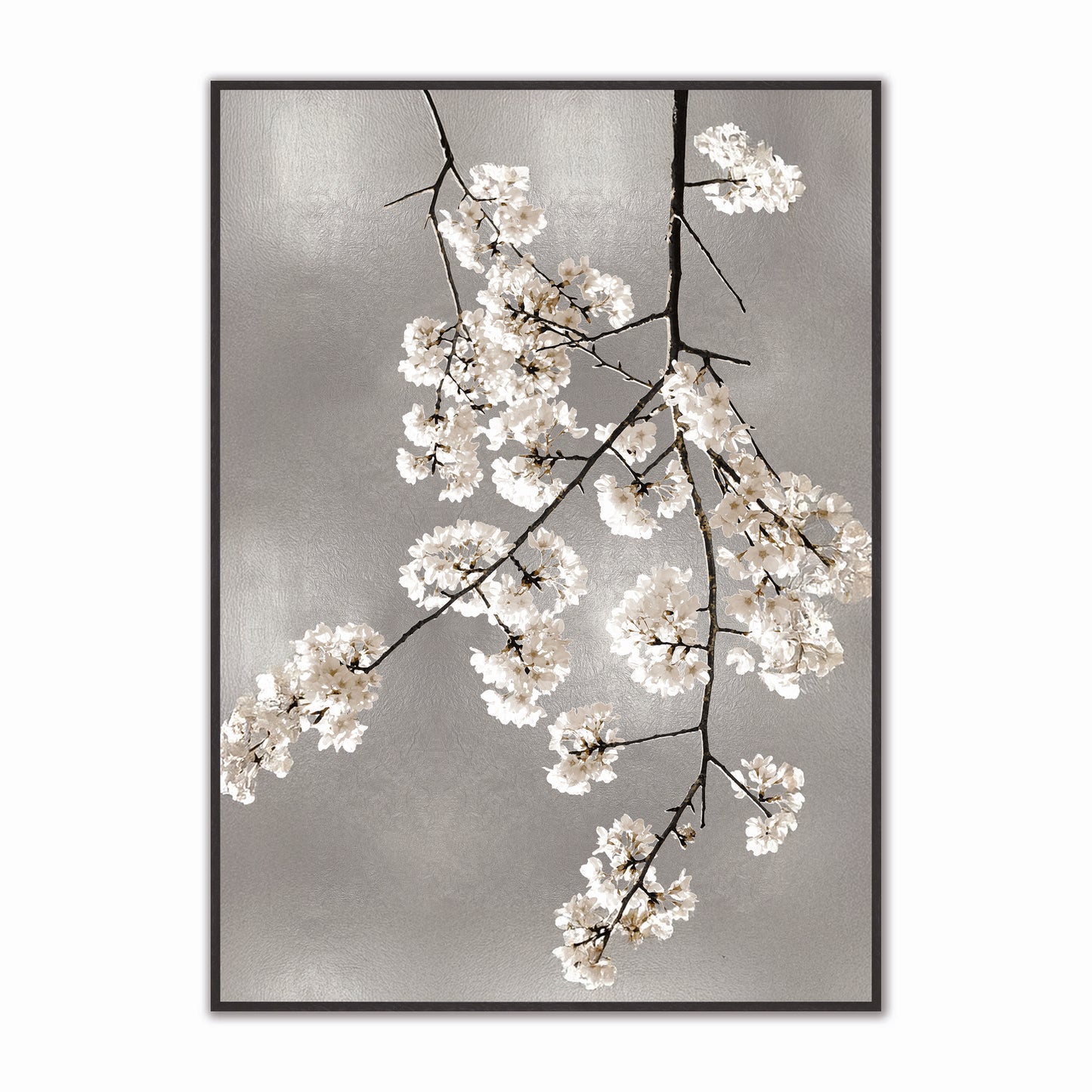 White Blossom on Silver 2 Velvet Canvas