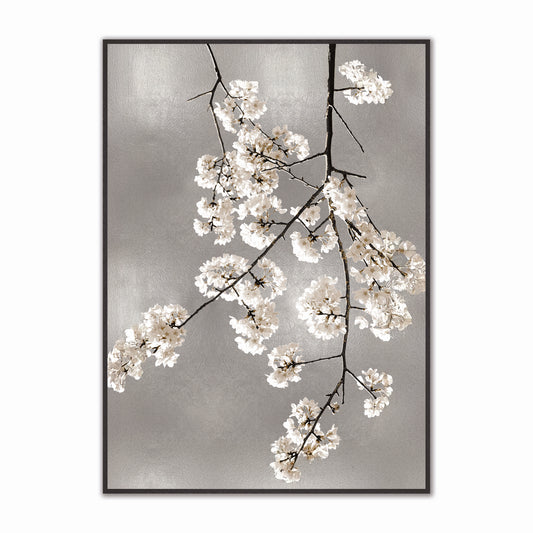 White Blossom on Silver 2 Velvet Canvas