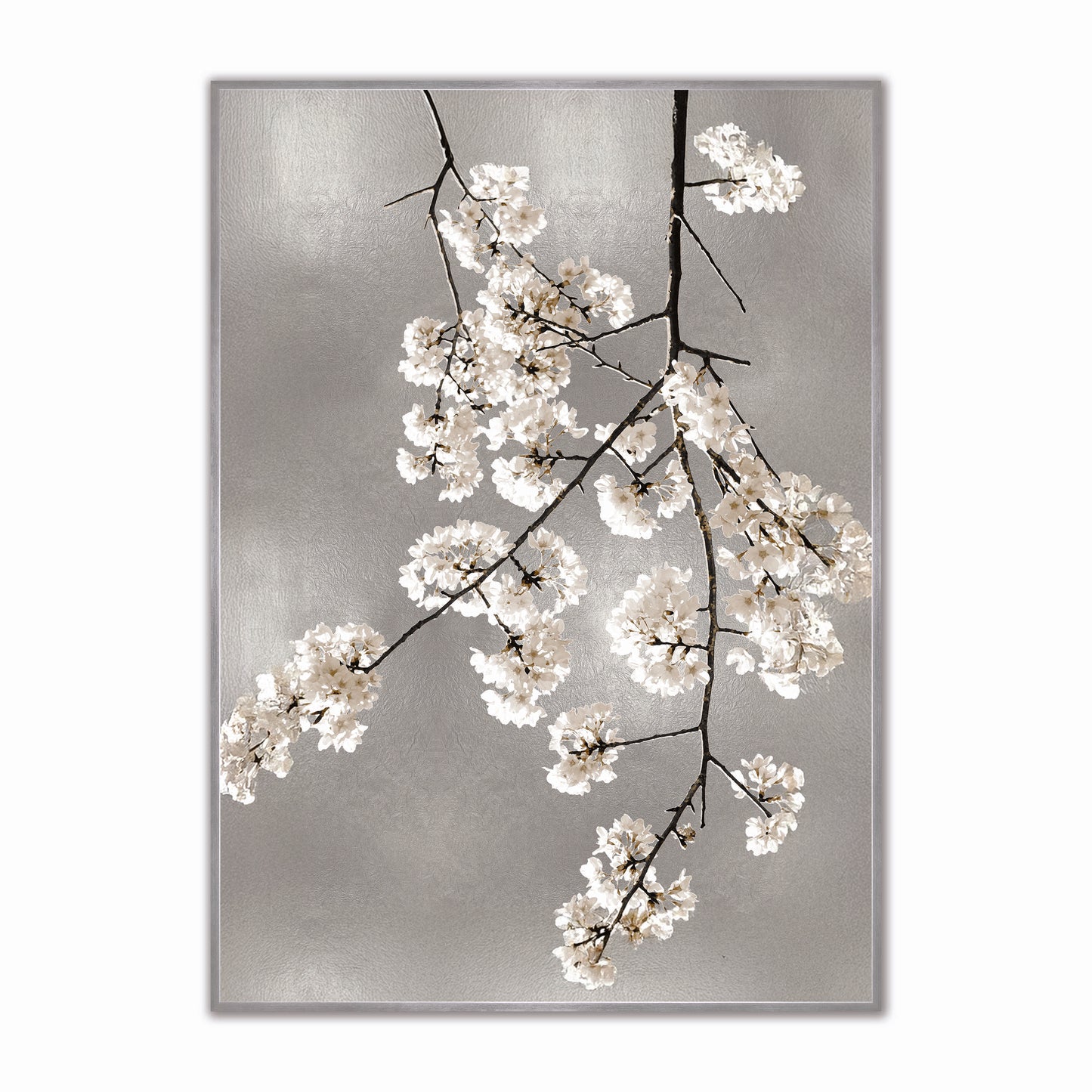 White Blossom on Silver 2 Velvet Canvas