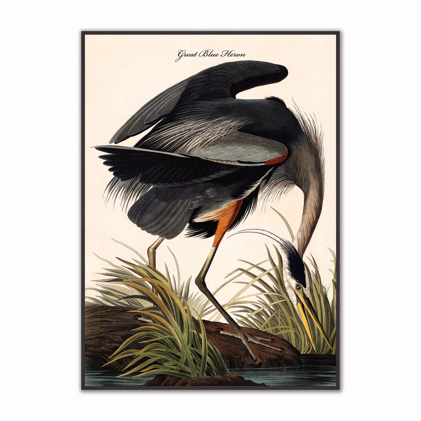 Blue Heron Velvet Canvas