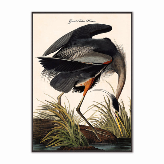 Blue Heron Velvet Canvas
