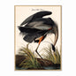 Blue Heron Velvet Canvas