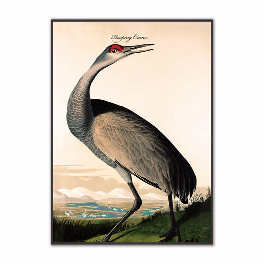 Hooping Crane Velvet Canvas