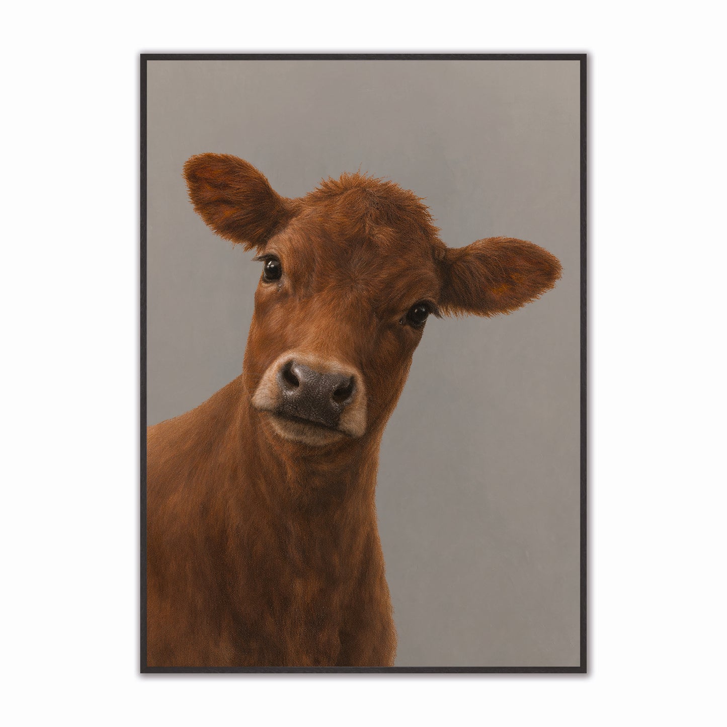 Curious Brown Cow Velvet Canvas Art