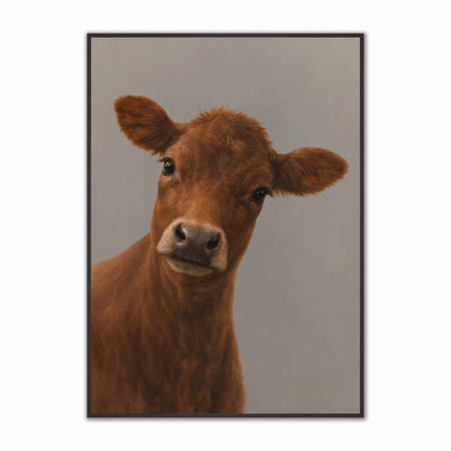 Curious Brown Cow Velvet Canvas Art