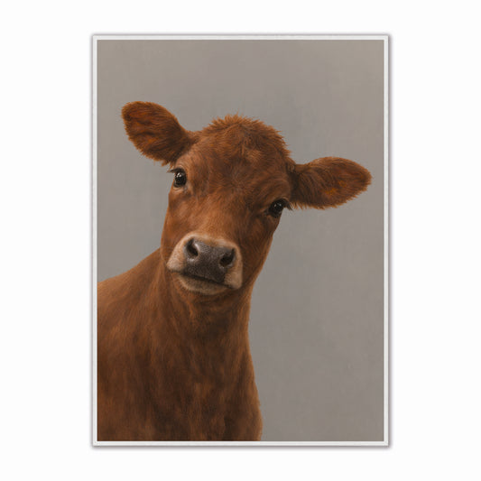 Curious Brown Cow Velvet Canvas Art