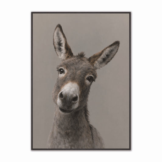 Curious Donkey Velvet Canvas Art