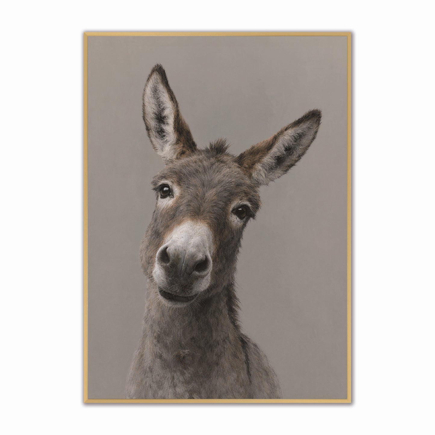 Curious Donkey Velvet Canvas Art