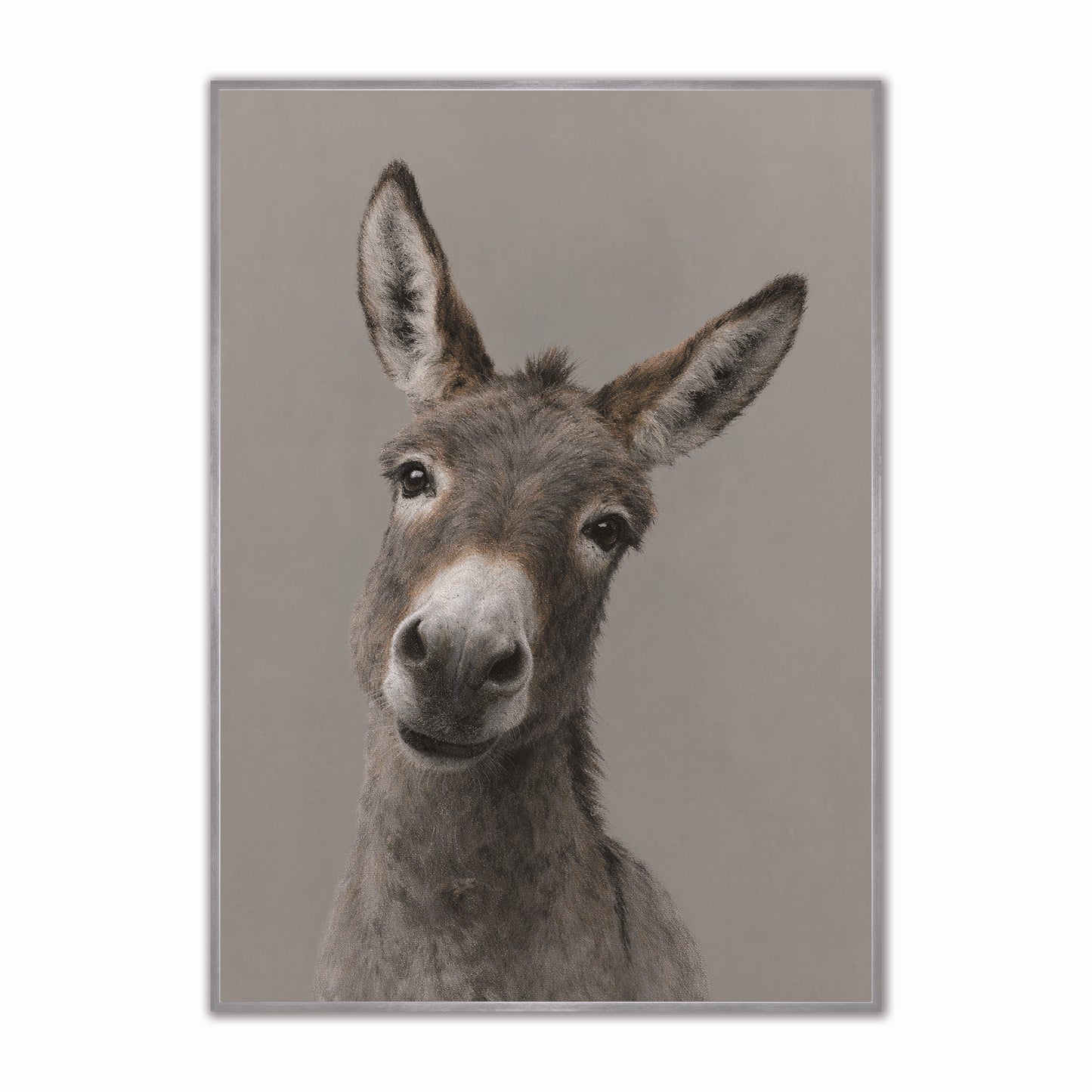 Curious Donkey Velvet Canvas Art