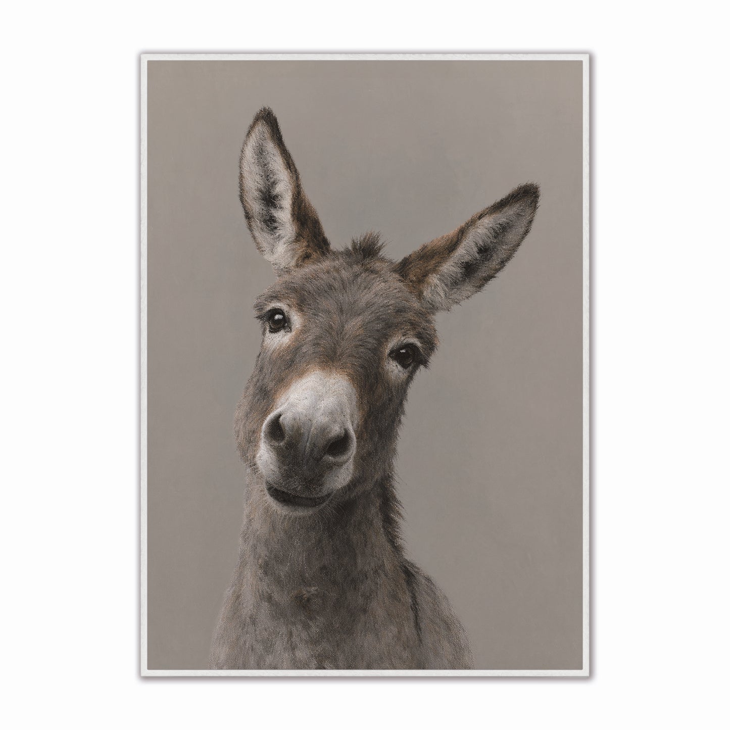 Curious Donkey Velvet Canvas Art