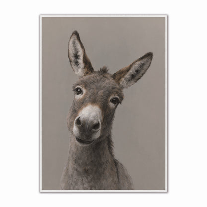 Curious Donkey Velvet Canvas Art