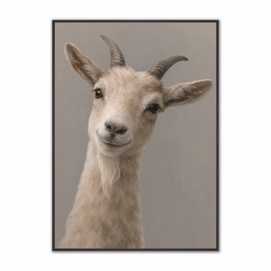 Curious Goat Velvet Canvas Art