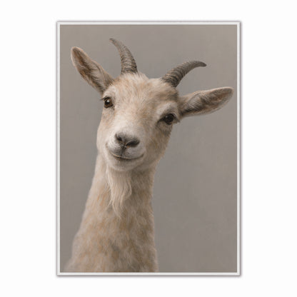 Curious Goat Velvet Canvas Art