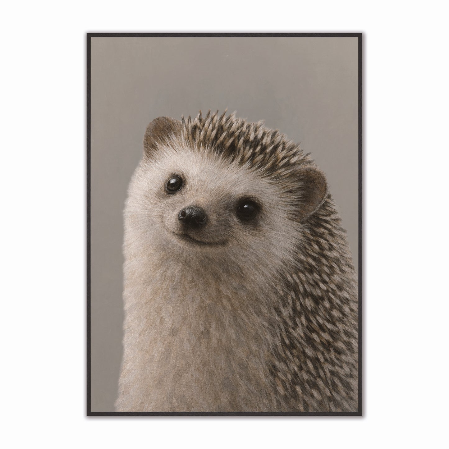 Curious Hedgehog Velvet Canvas Art
