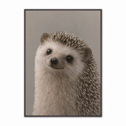 Curious Hedgehog Velvet Canvas Art