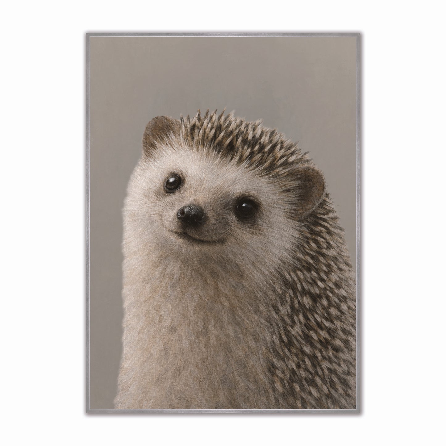 Curious Hedgehog Velvet Canvas Art