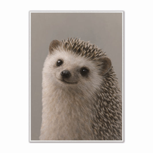 Curious Hedgehog Velvet Canvas Art