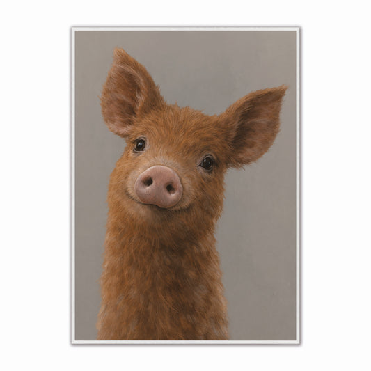 Curious Pig Velvet Canvas Art