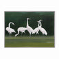 Feathered Flock Velvet Canvas