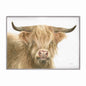 Shetland Cow Velvet Canvas