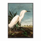 Snowy Heron Velvet Canvas